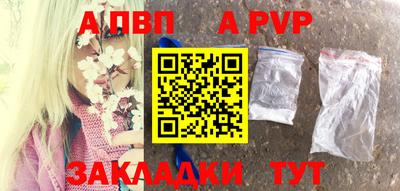 стаф Донской