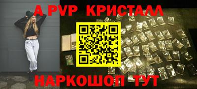 стаф Донской