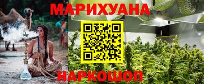 стаф Донской