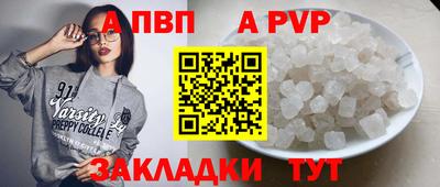 стаф Донской