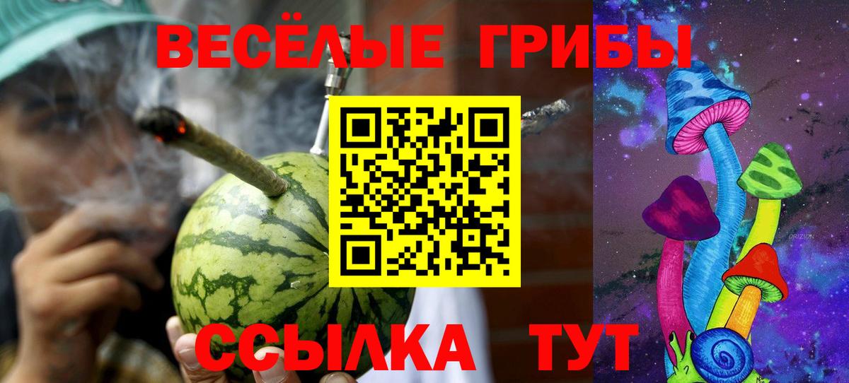 Псилоцибиновые грибы MAGIC MUSHROOMS  Галлюциногенные грибы Psilocybe  Вход с VPN  Миллерово 