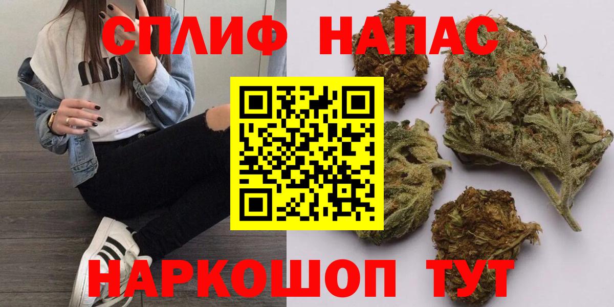 Канабис семена Миллерово
